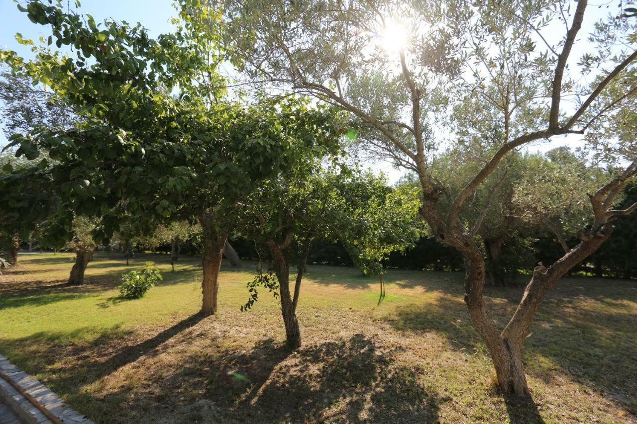 Villa Argo 3 - Beachfront, Big Gardens, Location! 페프코초리 외부 사진